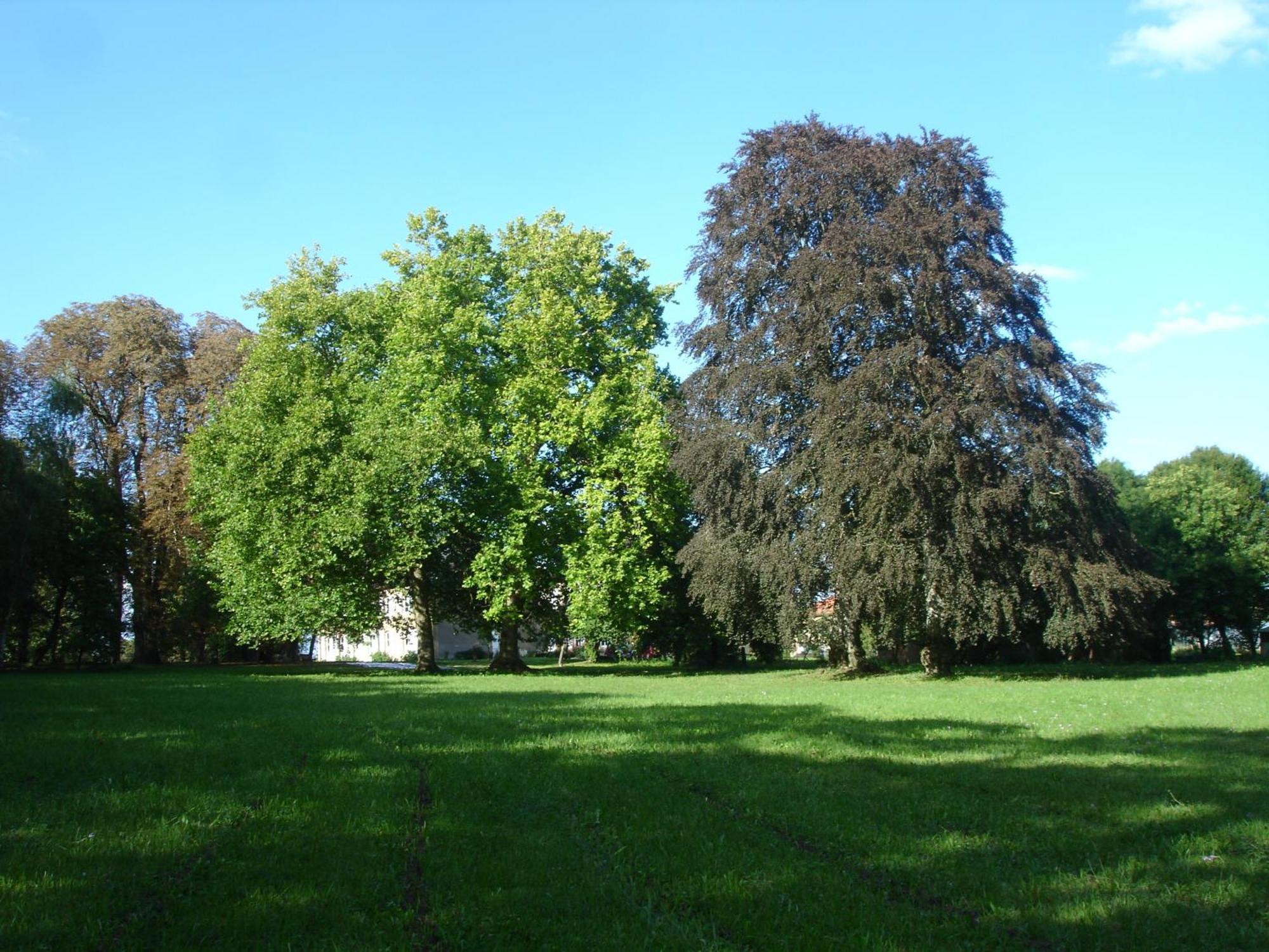 Maison D'Hotes Le Chateau De Puxe Zewnętrze zdjęcie
