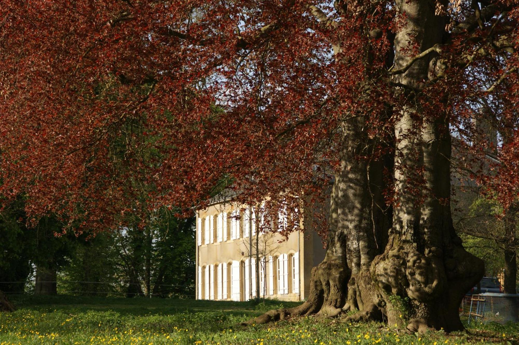 Maison D'Hotes Le Chateau De Puxe Zewnętrze zdjęcie